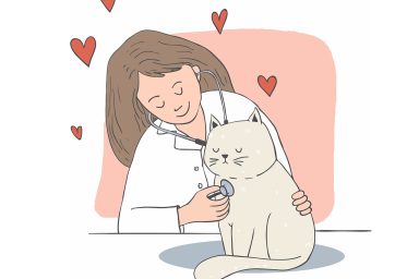 cat love doctor hearts dr 3547088