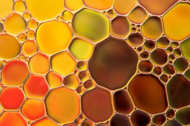 oil abstract bubble background 6915740