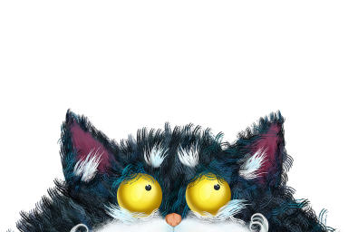 cat feline kitty pet animal funny 5797385