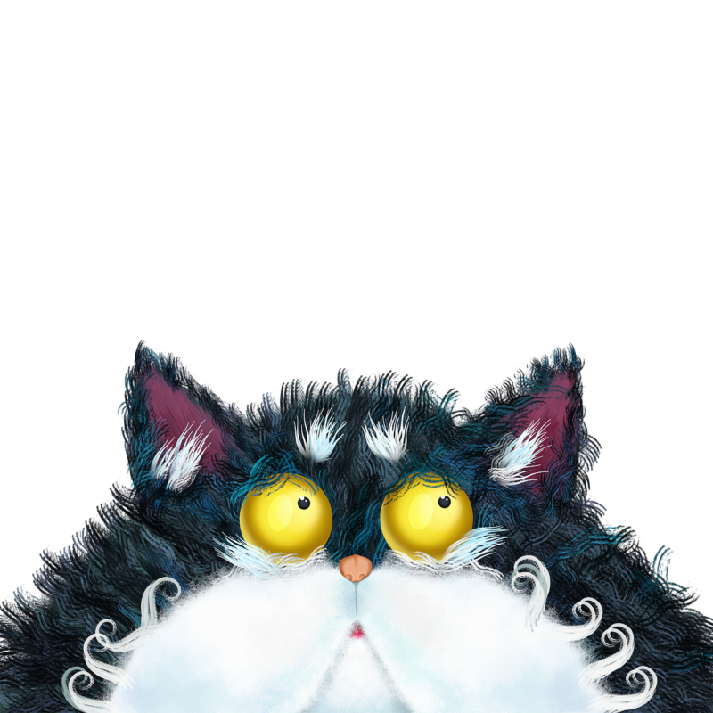 cat feline kitty pet animal funny 5797385