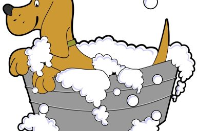 dog bath cartoon tub grooming pet 990304