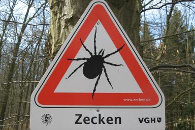 Zecken